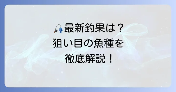 国崎漁港の最新釣果情報と狙い目の魚