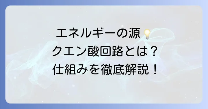 クエン酸回路とは？体のエネルギーを生み出す大切な仕組み