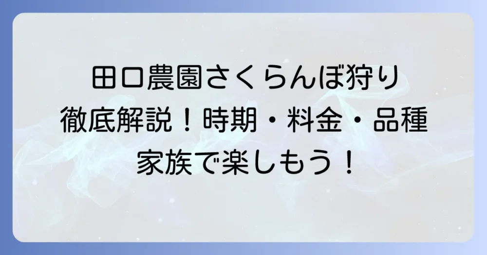 田口農園でのさくらんぼ狩りを徹底解説！時期・料金・品種・予約から持ち物まで