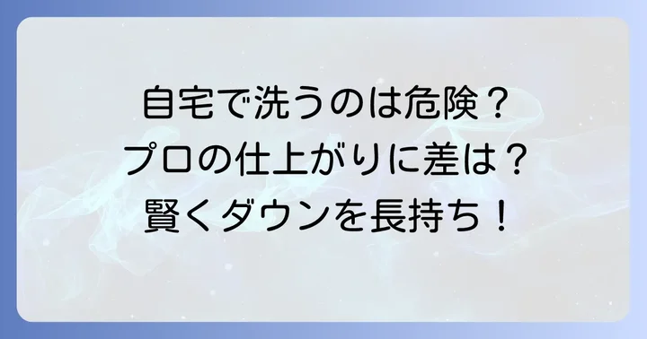 自宅で洗う？プロに任せる？それぞれのメリット・デメリットを比較